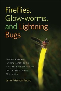 Fireflies, Glow-Worms, and Lightning Bugs - Faust, Lynn Frierson