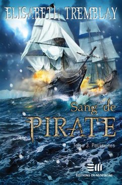 Cover Sang de pirate 03 : Poursuites (eBook, PDF)