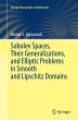 Sobolev Spaces, Their Generalizations... - Bild 1