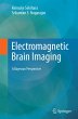 Electromagnetic Brain Imaging - Bild 1