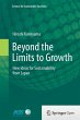 Beyond the Limits to Growth - Bild 1