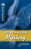 Lucky Falcon Mystery (eBook, ePUB)