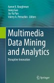 Multimedia Data Mining and Analytics