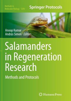 Salamanders in Regeneration Research