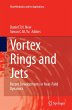Vortex Rings and Jets - Bild 1