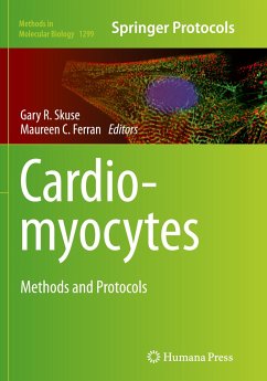 Cardiomyocytes