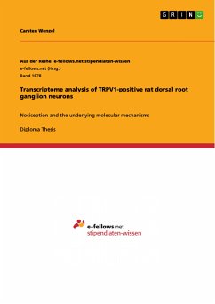 Transcriptome analysis of TRPV1-positive rat dorsal root ganglion neurons (eBook, PDF)