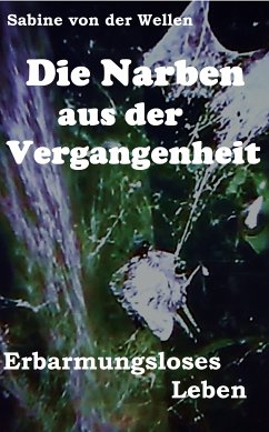 Die Narben aus der Vergangenheit (eBook, ePUB) - Wellen, Sabine von der