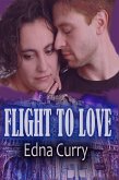 Flight to Love (Minnesota Romance novel series) (eBook, ePUB)