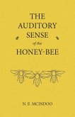 The Auditory Sense of the Honey-Bee