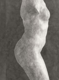 Rodin: Photographs by Emmanuel Berry Auguste Rodin Artist