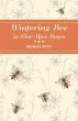 Wintering Bees in Four-Hive Boxes - Bild 1
