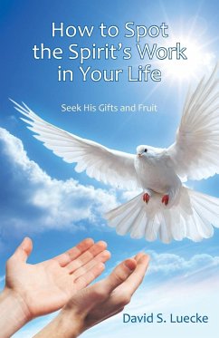 How to Spot the Spirit's Work in Your Life - Luecke, David S.