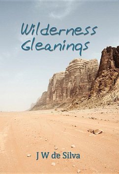 Wilderness Gleanings - Silva, J W de