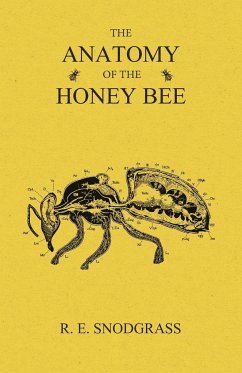 The Anatomy of the Honey Bee - Snodgrass, R. E.