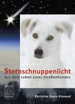 Sternschnuppenlicht (eBook, ePUB) - Goeb-Kümmel, Christine