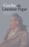 Goethe als Literatur-Figur (eBook, PDF)
