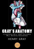 Gray's Anatomy (Illustrated With 1247 Coloured Well Drawing Engrawings) (eBook, ePUB)