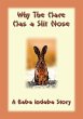 Why the Hare Has A Slit Nose (eBook,... - Bild 1
