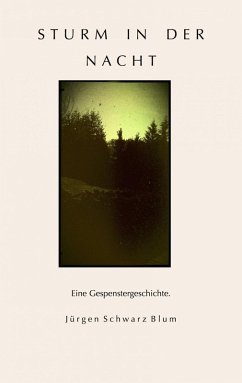 Sturm in der Nacht (eBook, ePUB) - Schwarz Blum, Jürgen