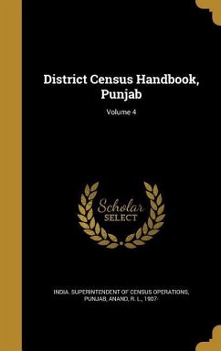 District Census Handbook, Punjab; Volume 4