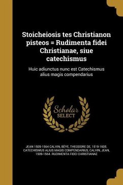 Stoicheiosis tes Christianon pisteos = Rudimenta fidei Christianae, siue catechismus