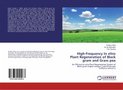 High-Frequency In vitro Plant Regeneration of Black gram and Grass pea