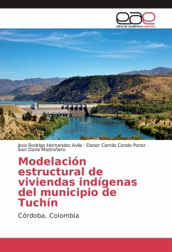 Modelación estructural de viviendas indígenas del municipio de Tuchín - Hernandez Avila, Jose Rodrigo;Conde Perez, Daner Camilo;Madroñero, Ivan Dario