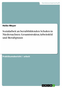 Sozialarbeit an berufsbildenden Schulen in Niedersachsen. Gesamtstruktur, Arbeitsfeld und Berufspraxis (eBook, PDF)