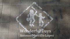 Cover Wonderful Days (eBook, ePUB)