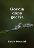 Goccia dopo goccia (eBook, ePUB)