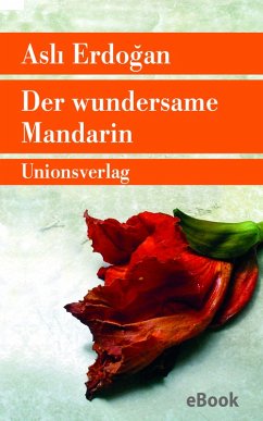 Der wundersame Mandarin (eBook, ePUB) - Erdogan, Asli