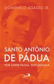 Santo Antônio de Pádua (eBook, ePUB)