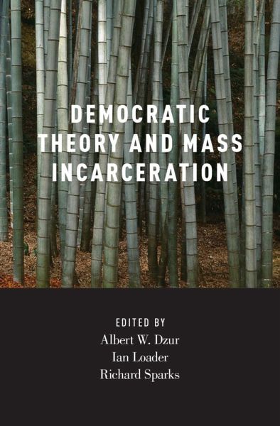 Democratic Theory and Mass Incarceration (eBook, ePUB)