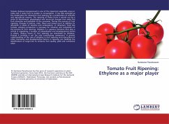 Tomato Fruit Ripening: Ethylene as a major player