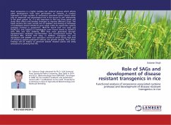 Role of SAGs and development of disease resistant transgenics in rice - Singh, Subaran