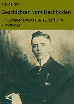 Geschichten vom Dachboden (eBook, ePUB) - Brasil, Marc