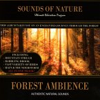 Forest Ambience