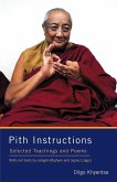 Pith Instructions (eBook, ePUB)