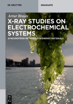 X-Ray Studies on Electrochemical Systems - Braun, Artur