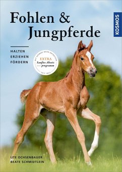 Fohlen und Jungpferde - Schmidtlein, Beate;Ochsenbauer, Ute