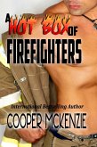 A Hot Box of Firefighters (eBook, ePUB)