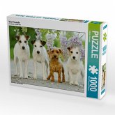 Vier Freunde (Puzzle) Vier Freunde (Puzzle)
