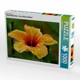 Ein Motiv aus dem Kalender "Zarte Schönheiten - Feine Hibiskusblüten" (Puzzle)