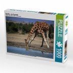 CALVENDO Puzzle Giraffen - Im Flussbett 1000 Teile Lege-Größe 64 x 48 cm Foto-Puzzle Bild von Michael Herzog