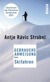 Gebrauchsanweisung fürs Skifahren (eBook, ePUB)