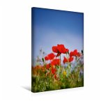 Premium Textil-Leinwand 30 cm x 45 cm hoch Roter Klatschmohn