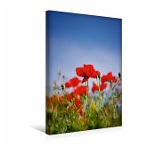 Premium Textil-Leinwand 30 cm x 45 cm hoch Roter Klatschmohn