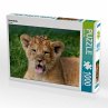 Löwenbaby (Puzzle) - Bild 1