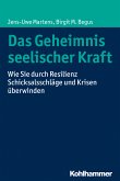 Das Geheimnis seelischer Kraft (eBook, PDF)